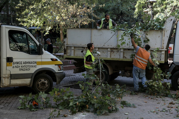 Τι σημαίνει το υπερβολικό κλάδεμα των δέντρων στην Αθήνα και τι επιπτώσεις θα έχει στο μικροκλίμα της;  