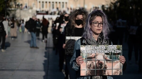 «Η σφαγή δεν είναι αγάπη»: Διαμαρτυρία vegan στο Σύνταγμα για το σούβλισμα αρνιών