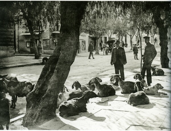 Αθήνα 1917