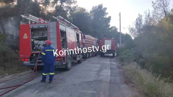 Φωτιά στις Κεχριές -Καίει δάσος με πεύκα