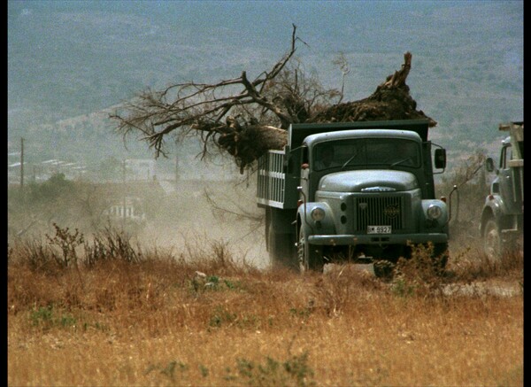 Το κινηματογραφικό πρόγραμμα του Evia Film Project