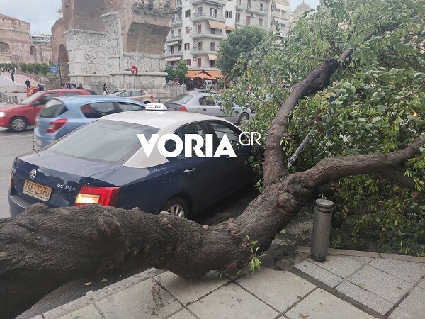 Θεσσαλονίκη: Σοβαρές ζημιές από το ξαφνικό μπουρίνι- Έπεσαν δέντρα σε αυτοκίνητα