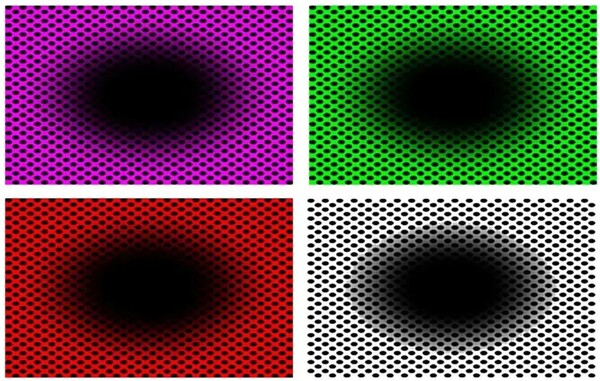 This Optical Illusion Has a Revelation About Your Brain and Eyes