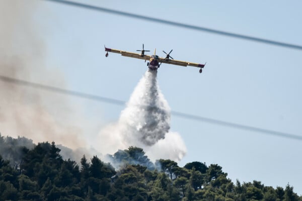 Φωτιά στη Σκόπελο - Στη «μάχη» και εναέρια μέσα