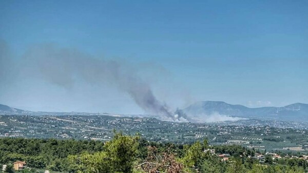 Φωτιά στο Σχηματάρι- Κινητοποιήθηκαν εναέριες δυνάμεις