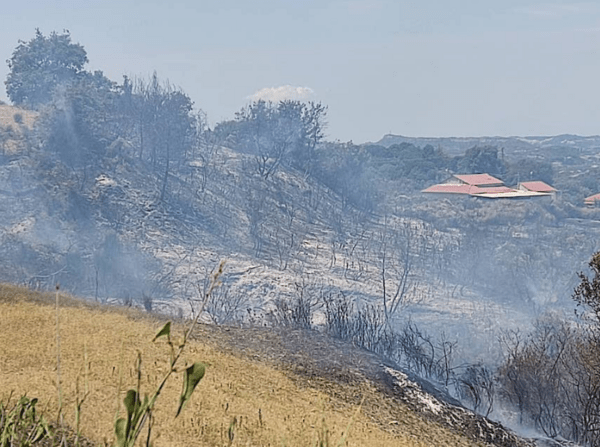 Φωτιά στη Ροδιά Ηλείας- Ρίψεις νερού από εναέρια μέσα