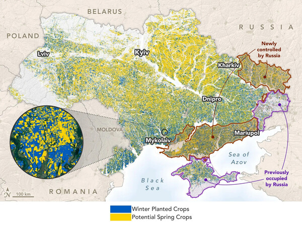 ukraine crops