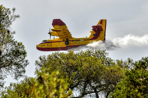 Φωτιά στη Βόρεια Εύβοια - Συναγερμός στην Πυροσβεστική