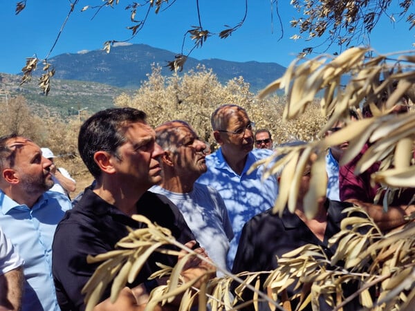 Τσίπρας για υπόθεση Λιγνάδη: Αφέθηκε ελεύθερος ο κολλητός της εξουσίας, σκανδαλώδεις ανισότητες