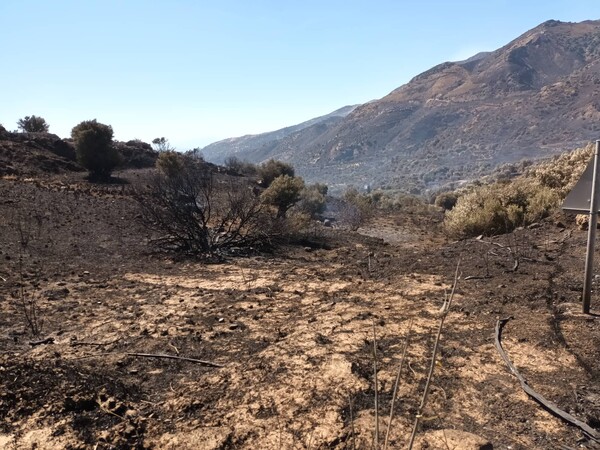 Χωρίς ενεργό μέτωπο η φωτιά στο Ρέθυμνο -Φόβος για αναζωπυρώσεις