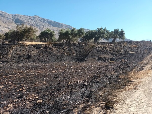 Χωρίς ενεργό μέτωπο η φωτιά στο Ρέθυμνο -Φόβος για αναζωπυρώσεις