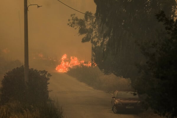 Μαίνονται τα πύρινα μέτωπα στην Αττική: Ζημιές σε σπίτια, εκκενώσεις οικισμών - Μάχη με φλόγες και ανέμους