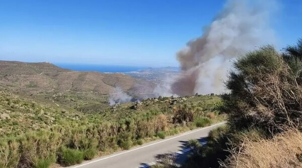 Φωτιά στο Νταού Πεντέλης - Συναγερμός στην Πυροσβεστική