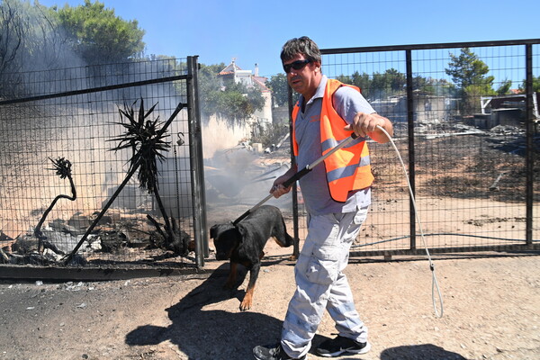 Πεντέλη: Σε ύφεση η πυρκαγιά - Συγκλονιστικές φωτογραφίες από χαμηλές πτήσεις και επιχειρήσεις μέσα στους καπνούς