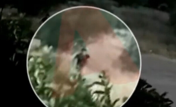 «Βίντεο-ντοκουμέντο με τη στιγμή που εμπρηστής βάζει φωτιά σε δέντρο»