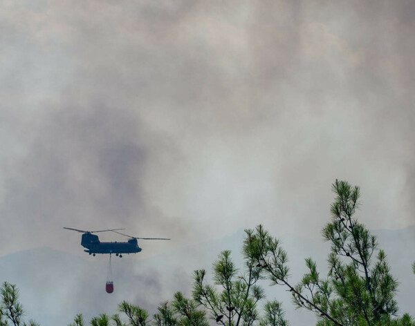 Συνεχίζεται η μάχη με τις φλόγες στη Δαδιά Έβρου – Μέσα στον οικισμό η φωτιά στα Βατερά Λέσβου