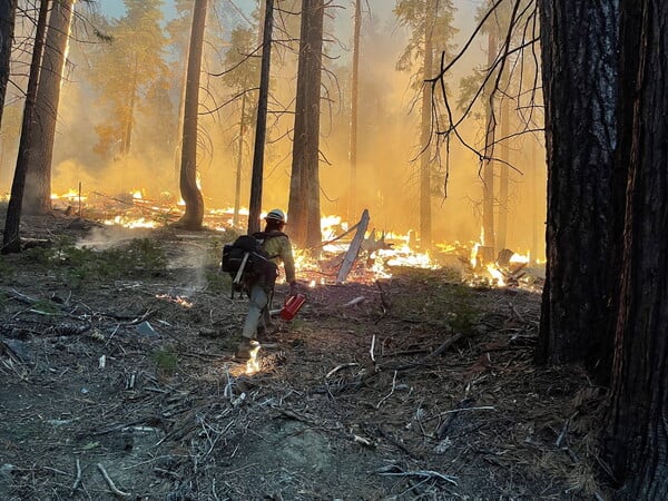 Γιγαντώθηκε η φωτιά κοντά στο Εθνικό Πάρκο Yosemite - Εκκενώσεις και καταστροφές