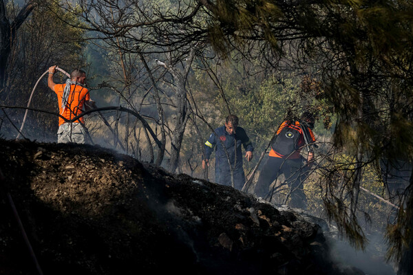 Πυροσβεστική: 9 συλλήψεις για εμπρησμό σε μία εβδομάδα- Η κατάσταση στα πύρινα μέτωπα σε Λέσβο και Δαδιά