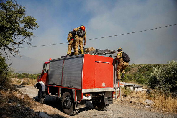 Πυροσβεστική: 9 συλλήψεις για εμπρησμό σε μία εβδομάδα- Η κατάσταση στα πύρινα μέτωπα σε Λέσβο και Δαδιά