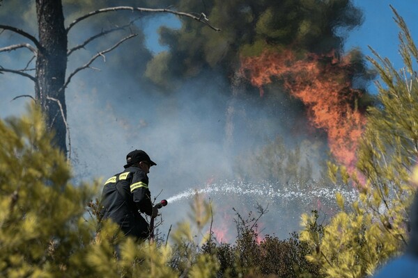 Φωτιά στη Ζάκυνθο δίπλα σε ξενοδοχείο - Καίει χαμηλή βλάστηση 