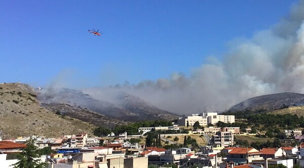 Φωτιά στη Χαλκίδα: Προς τη Νέα Λάμψακο κατευθύνονται οι φλόγες - Τρία τα πύρινα μέτωπα