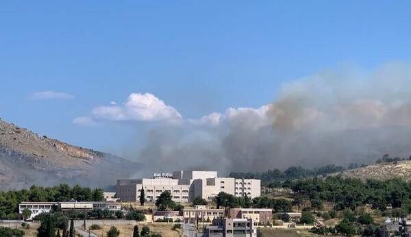 Φωτιά στη Χαλκίδα - Στη «μάχη» με τις φλόγες και εναέρια μέσα