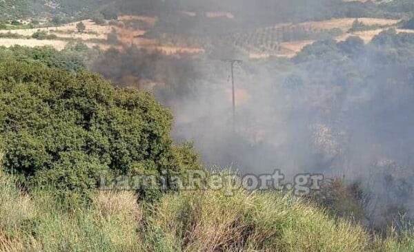 Φωτιά στη Στυλίδα - Ισχυρή κινητοποίηση από την Πυροσβεστική