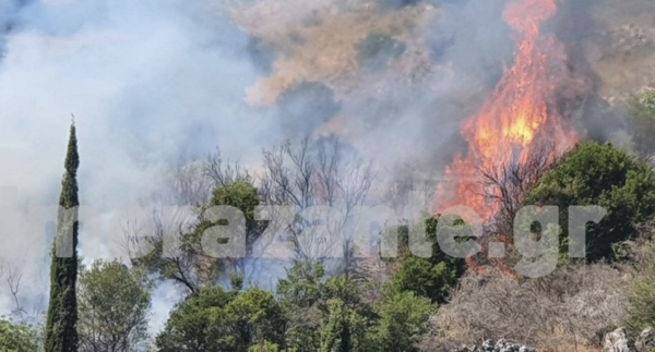 Δασική φωτιά στον Ασκό Ζακύνθου: Η πυροσβεστική ζητά να απομακρυνθούν οι κάτοικοι από τα Μεγάλα Αλώνια