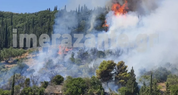 Δασική φωτιά στον Ασκό Ζακύνθου: Η πυροσβεστική ζητά να απομακρυνθούν οι κάτοικοι από τα Μεγάλα Αλώνια