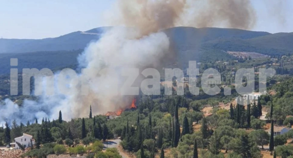 Δασική φωτιά στον Ασκό Ζακύνθου: Η πυροσβεστική ζητά να απομακρυνθούν οι κάτοικοι από τα Μεγάλα Αλώνια