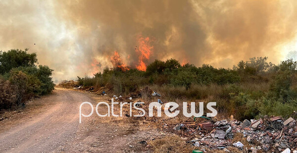 Φωτιά στον Πύργο: Μάχη σε δύο μέτωπα, κοντά σε σπίτια οι φλόγες - Παραλίγο να καεί όχημα της Πυροσβεστικής