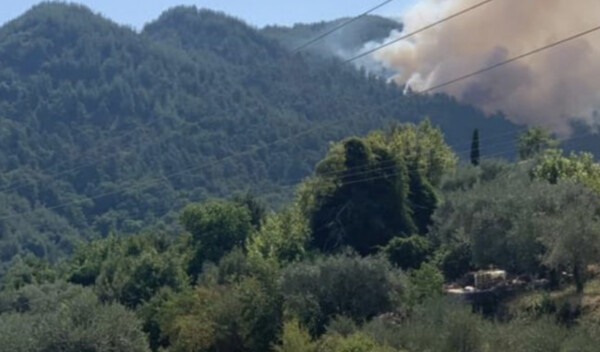 Φωτιά στη Θάσο: Συνεχίζονται οι έρευνες για εμπρησμό