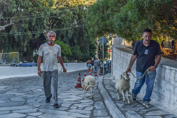 Οι πιστοί προσκύνησαν και φέτος στην Τήνο