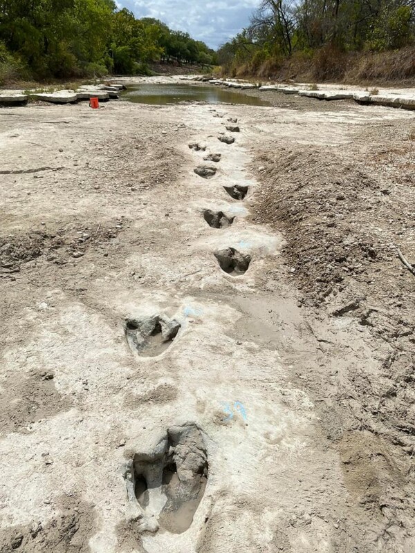 Dinosaur tracks from 113M years ago have become visible amid drought