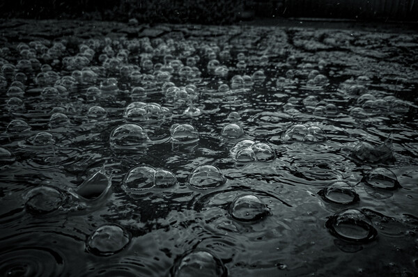 Weather Photographer of the Year: Μαγικά ουράνια τόξα, κεραυνοί και ακραία καιρικά φαινόμενα