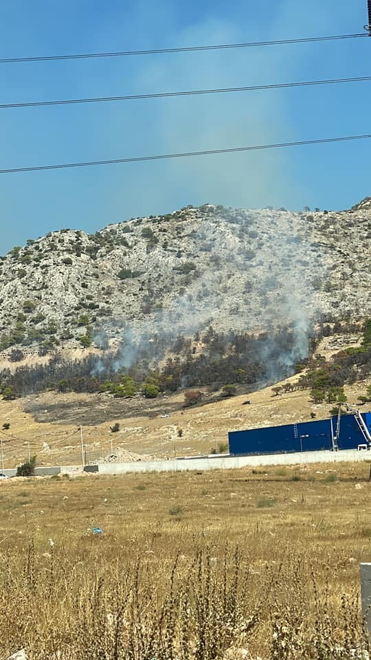 Πυρκαγιά σε δασική έκταση στη Φυλή