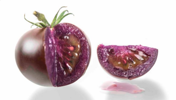 Μια νέα, γενετικά τροποποιημένη, μοβ ντομάτα πήρε την πρώτη έγκριση στις ΗΠΑ