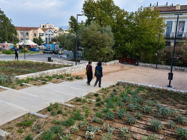 Η πλατεία Θησείου ανακατασκευάστηκε - Μεσογειακά φυτά στην αρχαιολογική «καρδιά» της Αθήνας