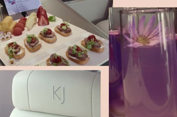 Kylie Jenner’s million private jet features lavish food, drink menus