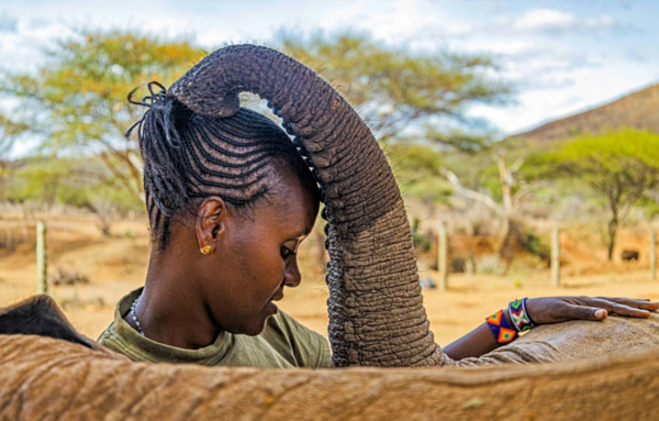 Stunning images from African Wildlife Foundation's photography award are inspiring conservation