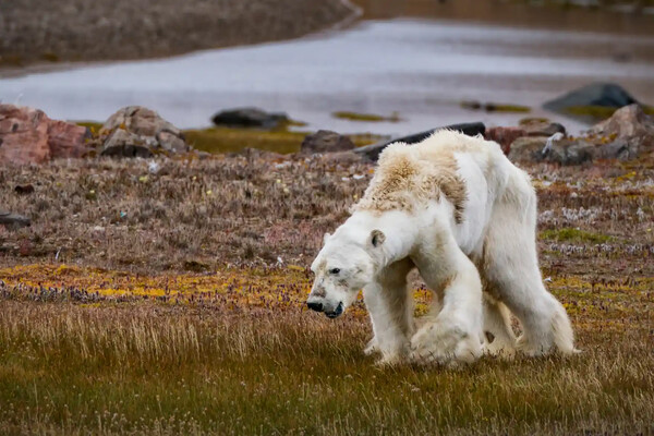 20 climate photographs that changed the world