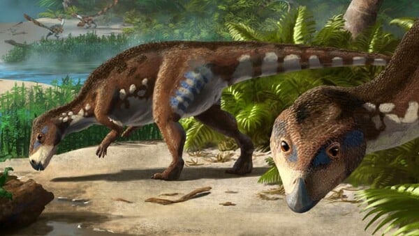 Τρανσυλβανόσαυρος πλατυκέφαλος: Ανακαλύφθηκε νέο είδος ορνιθόποδων δεινοσαύρων 