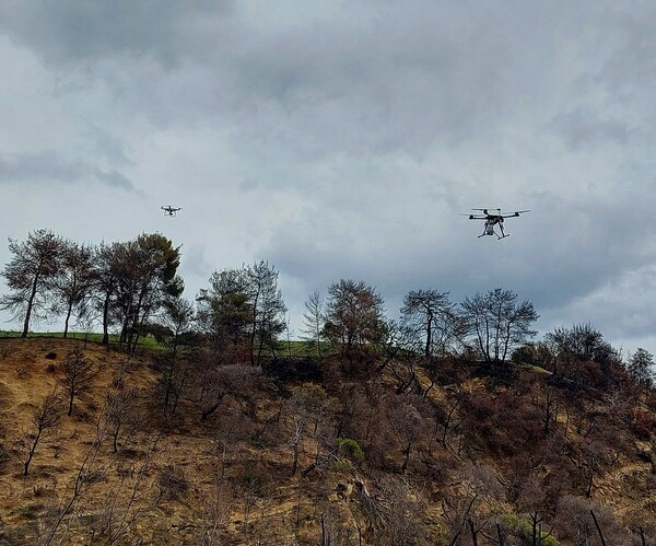 Tεχνική αναδάσωσης μέσω drone-Για πρώτη φορά στην Ελλάδα από το Γεωπονικό Πανεπιστήμιο