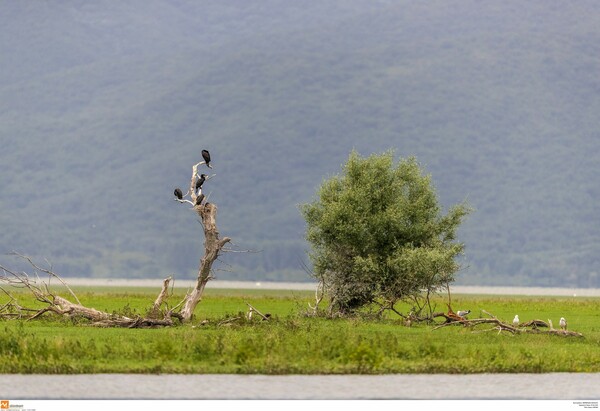 WWF: Η σχέση των Ελλήνων με τις περιοχές Natura