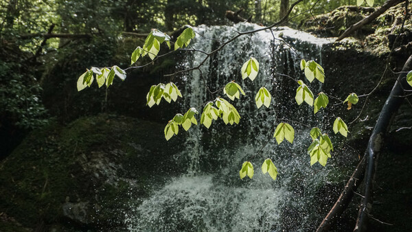 WWF: Η σχέση των Ελλήνων με τις περιοχές Natura