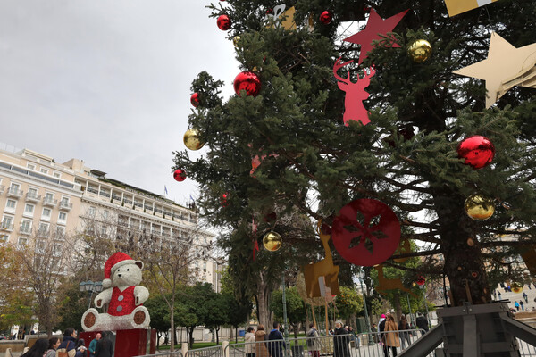 Το χριστουγεννιάτικο δέντρο της Αθήνας