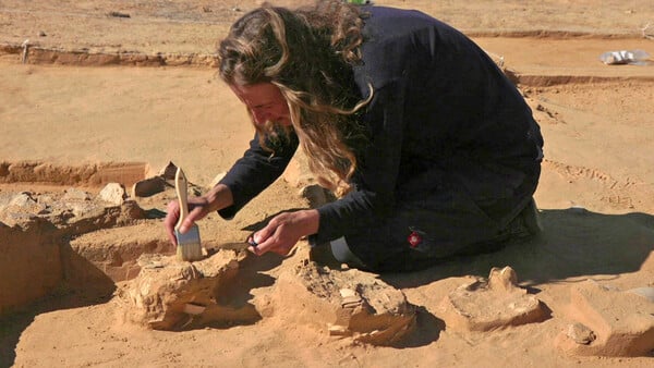 Ostrich eggs up to 7,500 years old found next to ancient fire pit in Israel