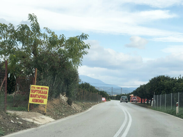 Ο καιρός των πορτοκαλιών