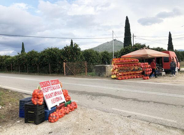 Ο καιρός των πορτοκαλιών