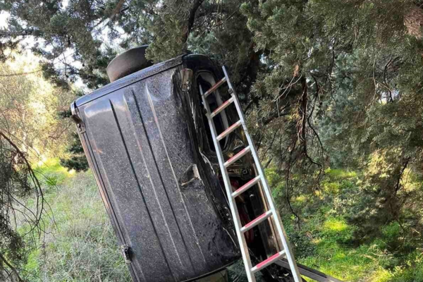 Αυτοκίνητο σε δέντρο